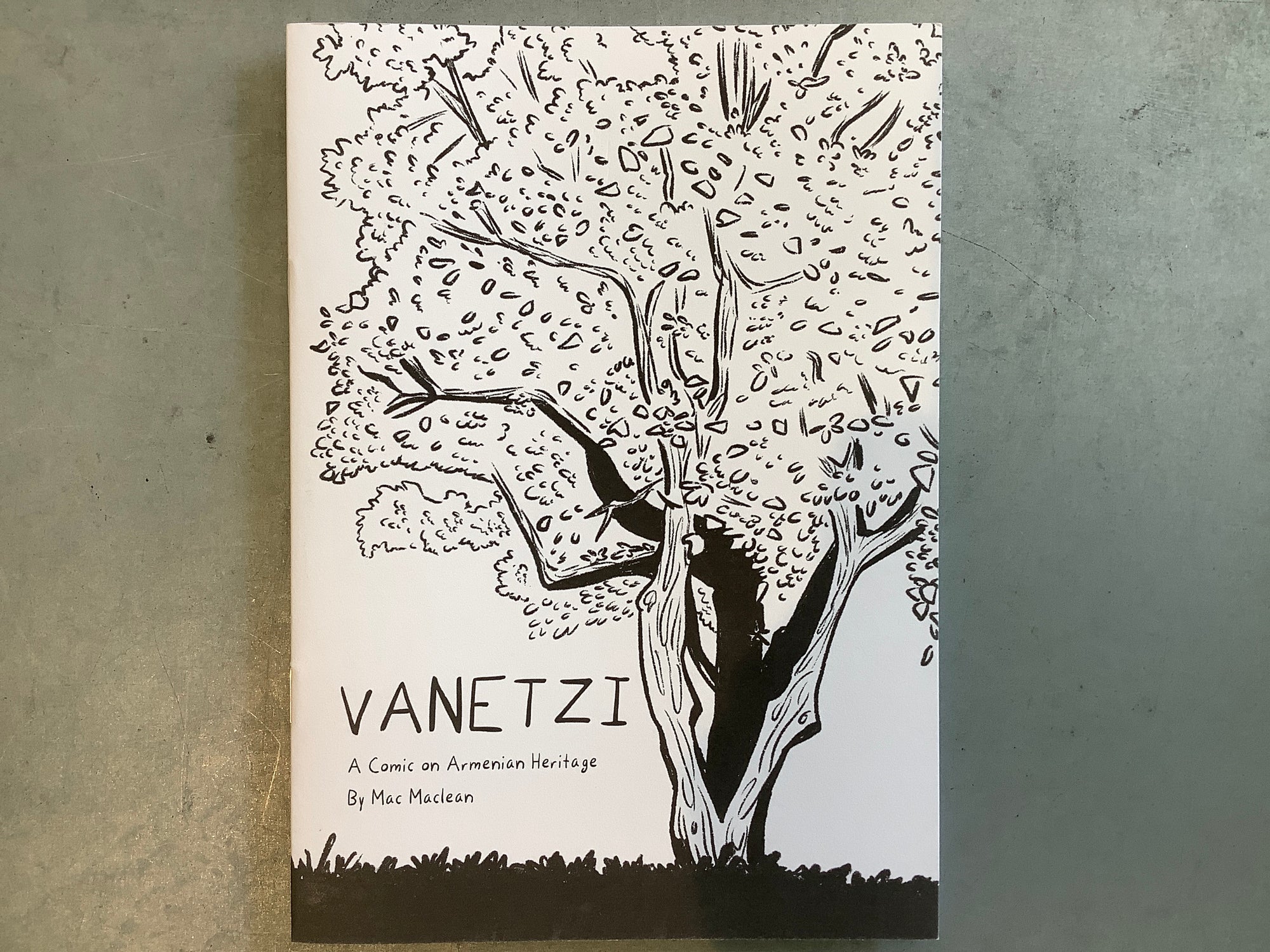 Vanetzi