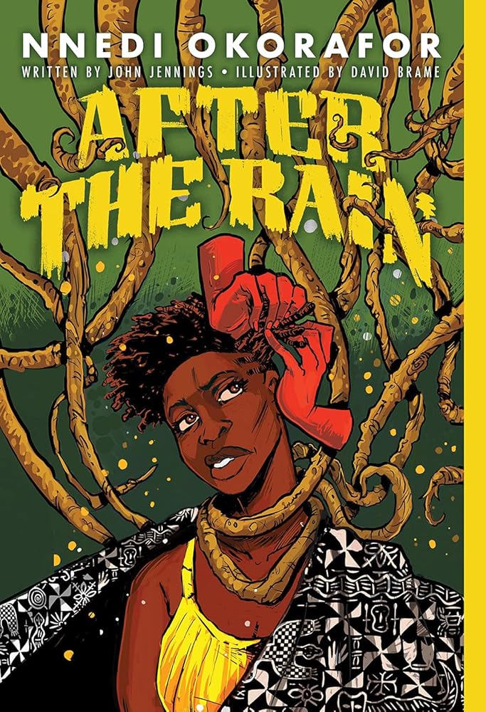 After the Rain: A Graphic Novel cover image
