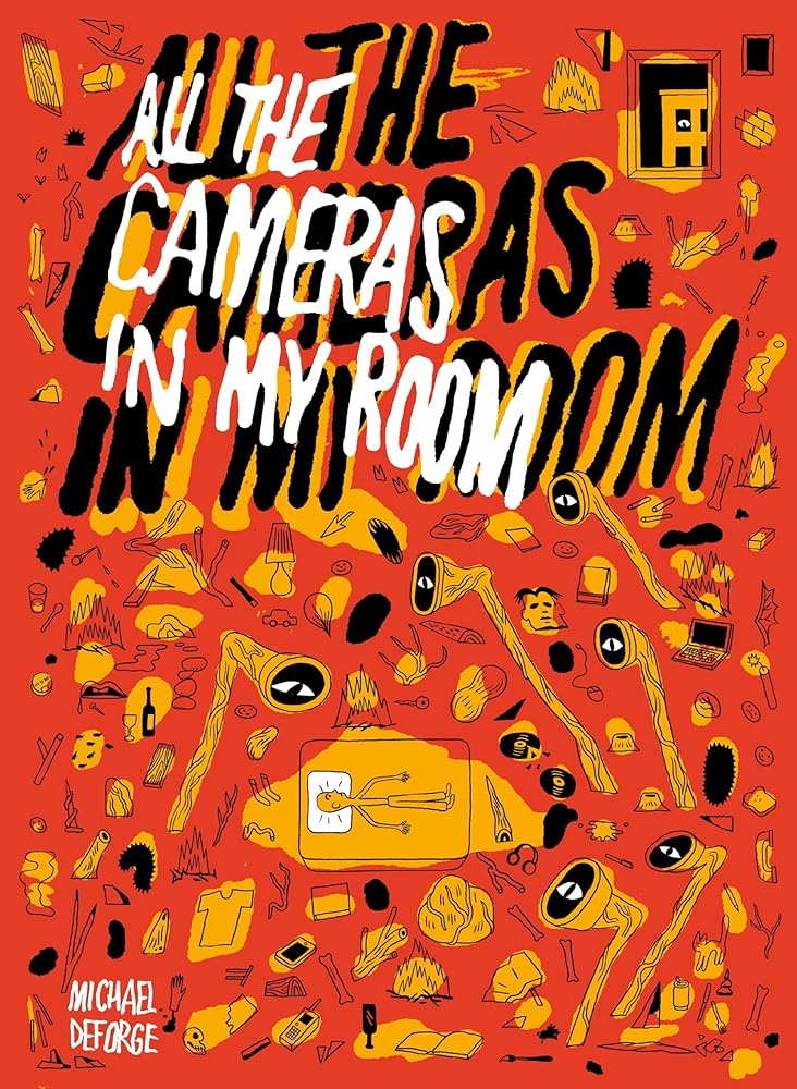 All the Cameras in My Room cover image
