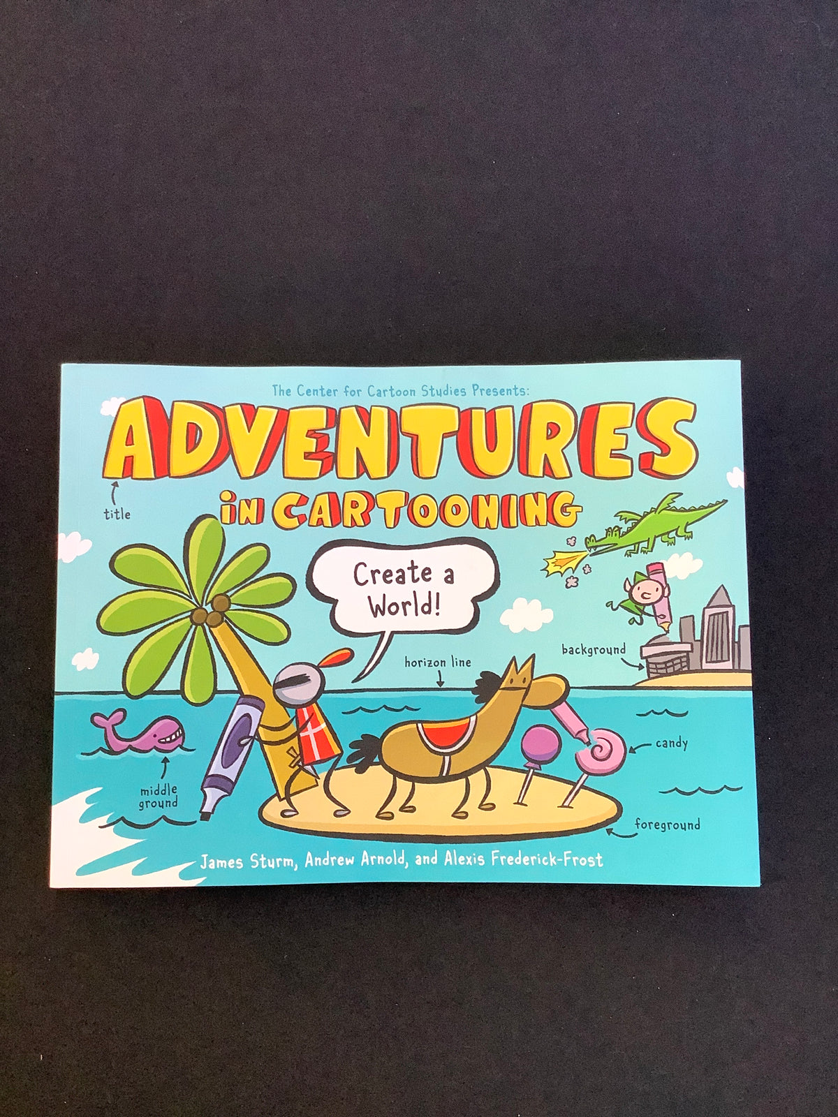 Adventures in Cartooning