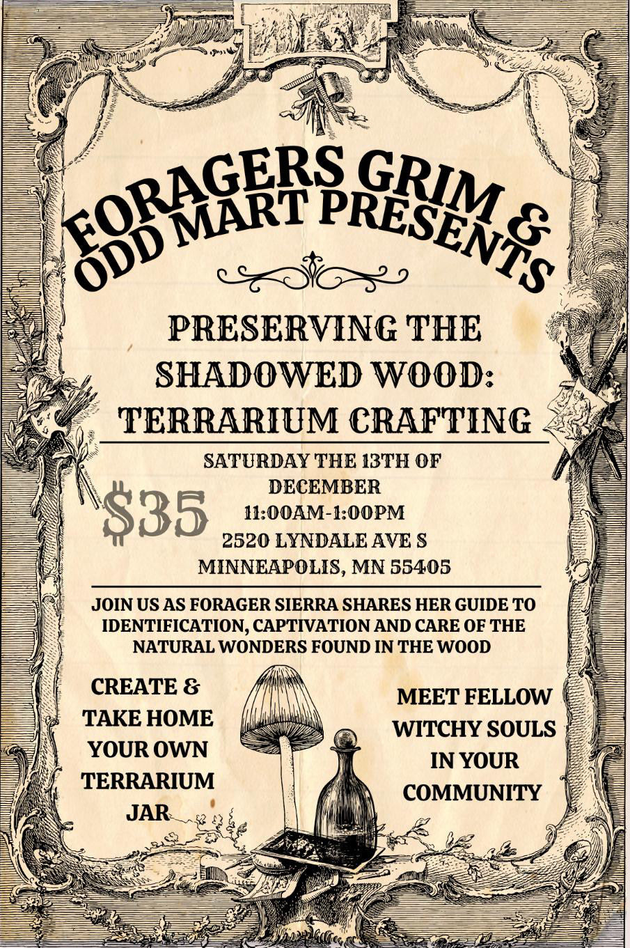 TERRARIUM CRAFTING Saturday, December 13th