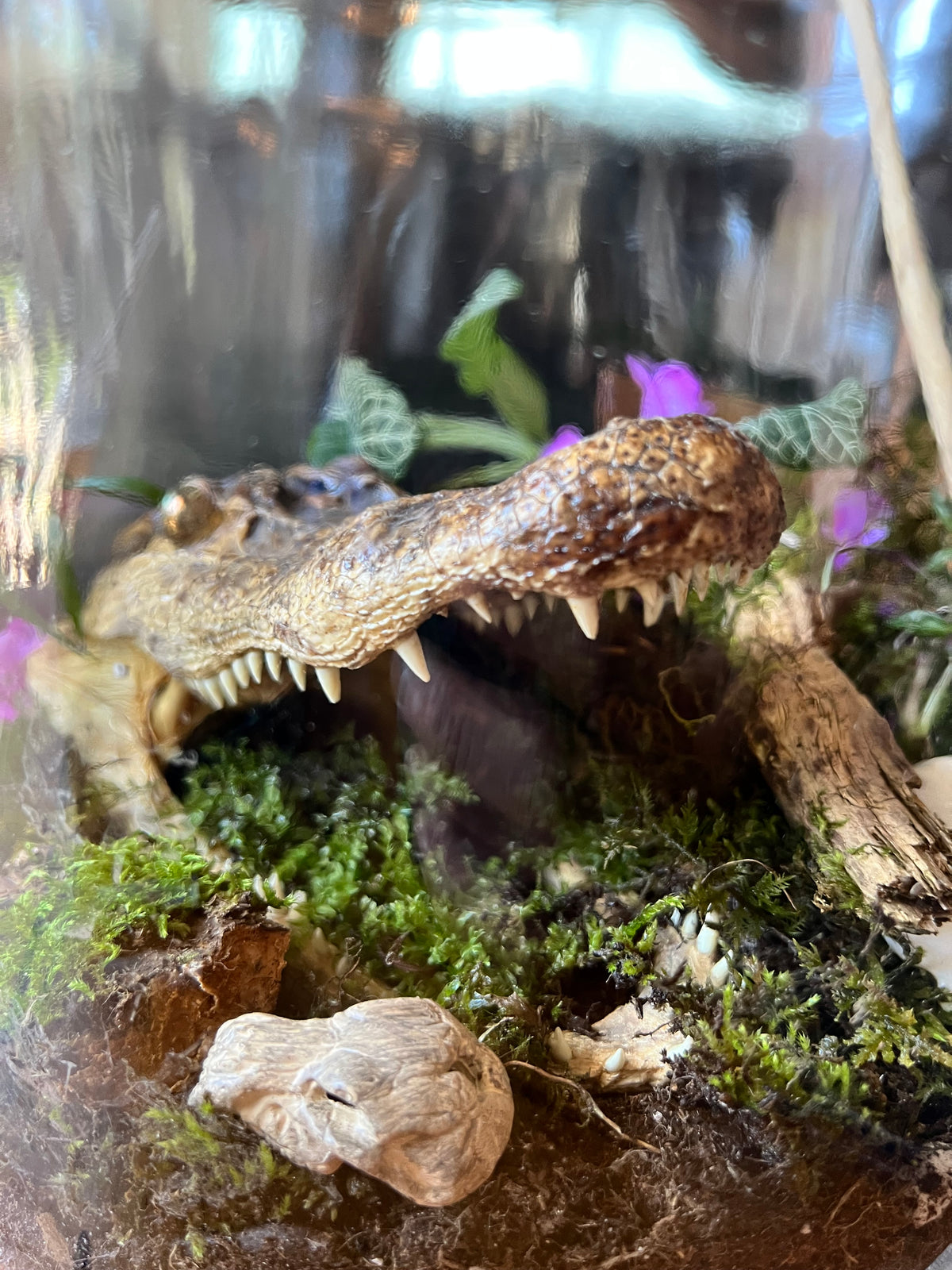 Punky Planter Terrarium Building Workshop September 12th 2026