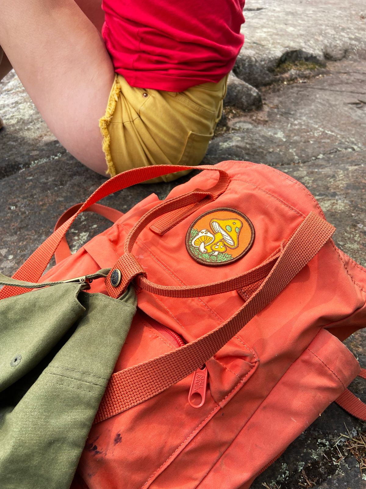 Stoked Wood Peel-N-Stick Mushroom Patch